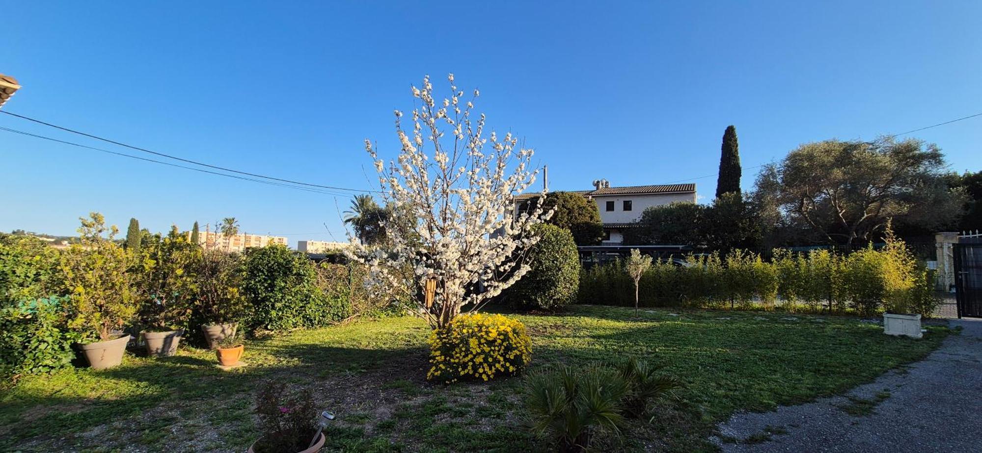 Studio Independant Avec Terrasse A Juan Les Pins Antibes Eksteriør bilde